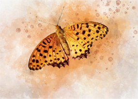 Obraz - Pomarańczowy motyl, akwarela (70x50 cm)