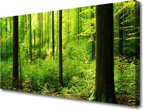 Obraz canvas Gęsty Bór Liściasty