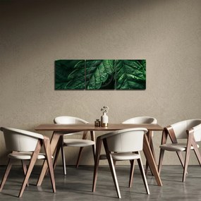 Obraz - Szczegół arkusza (z zegarem) (90x30 cm)