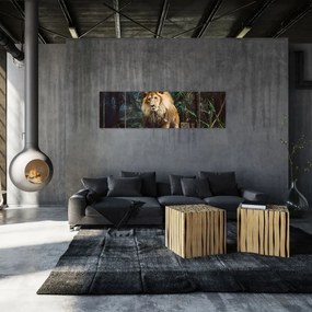 Obraz lwa w naturze (170x50 cm)