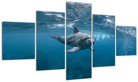Obraz - Delfin pod wodą (125x70 cm)