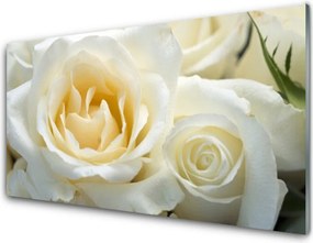 Panel Kuchenny Elegancja Czerwonych Róż