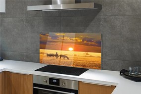 Panel szklany do Kuchni Zebry o Zachodzie Słońca