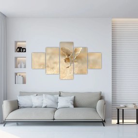 Obraz - Sowa Płomykówka (125x70 cm)
