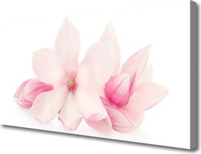Obraz canvas Delikatne Płatki w Zbliżeniu