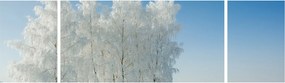 Obraz zaśnieżonego krajobrazu (170x50 cm)