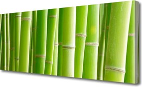 Obraz na płótnie Egzotyczny Kwiat i Bambus