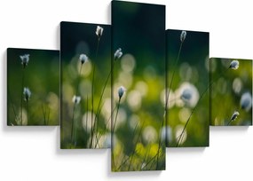 Obraz - Trawa (125x70 cm)