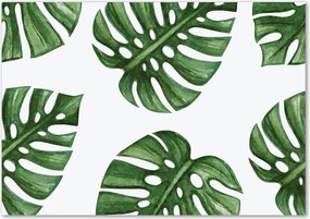Foto obraz szkło hartowane Monstera