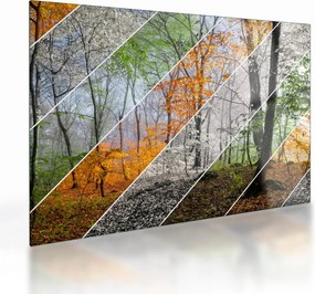 Obraz na szkle - Zmieniające się pory roku (70x50 cm)