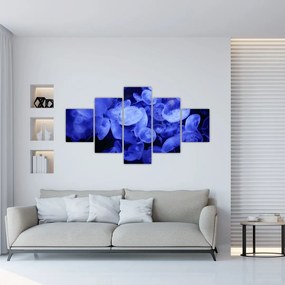 Obraz - Meduzy (125x70 cm)