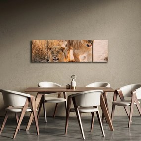 Obraz lwiątek (170x50 cm)