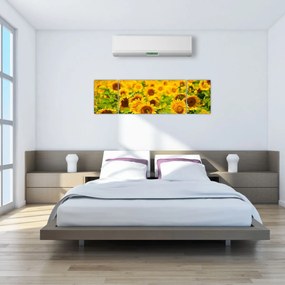 Obraz - Słoneczniki (170x50 cm)