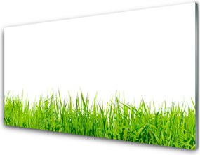 Panel Szklany do Kuchni Soczysta Zielona Polana