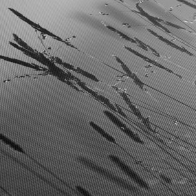 Obraz - źdźbła trawy (170x50 cm)
