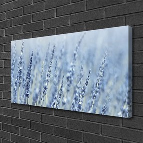 Obraz Canvas Kwiaty Kłosy Łąka Natura