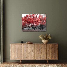 Obraz na szkle - Czerwone drzewa, Central Park, New York (70x50 cm)