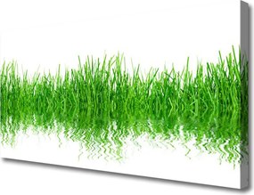 Obraz canvas Naturalny Dywan Zieleni