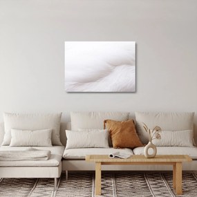 Obraz na szkle - Białe pióro (70x50 cm)