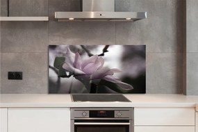 Szklany Panel Kwiat Magnolii