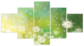 Obraz - Kwitnące mlecze (125x70 cm)