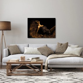 Obraz - Kobieta ze złota (70x50 cm)