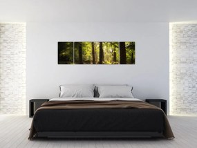 Obraz sennego lasu (170x50 cm)