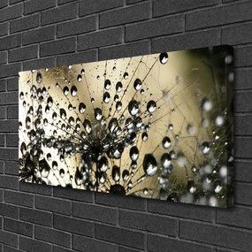 Obraz na płótnie Lekkość Mniszka Lekarskiego