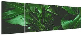 Obraz - Liście palmowe (170x50 cm)
