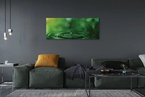 Fotoobraz na płótnie Czysta Kropla w Zbliżeniu