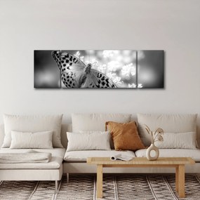 Obraz - Szczegół motyla zapylającego kwiat (170x50 cm)