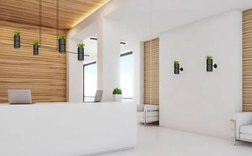 Czarny kinkiet kwietnik - EX605 N0-Z52