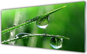 Panel Kuchenny Świeżość Porannej Trawy