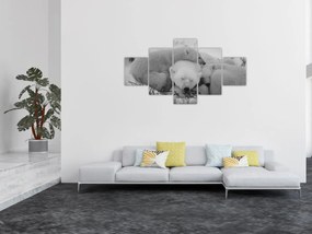 Obraz - Niedźwiadki polarne, czarno - biały (125x70 cm)