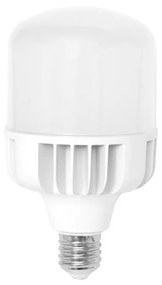 LED Żarówka E40/50W/230V - Ecolite