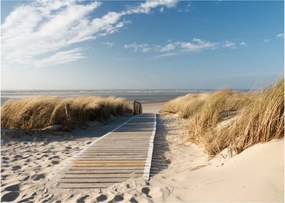 Obraz na szkle - Piaszczysta plaża na wyspie Langeoog, Niemcy (70x50 cm)