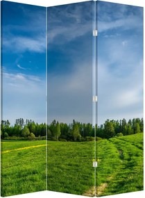 Parawan - Łąka (126x170 cm)