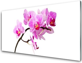 Panel Szklany do Kuchni Polne Kwiaty W Słońcu