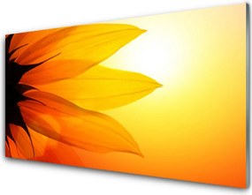 Szkło do Kuchni na Ścianę Piękno Natury: Kwiat