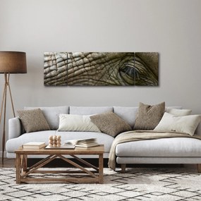 Obraz - Zbliżenie na stare oko słonia (170x50 cm)