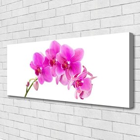 Obraz Canvas Storczyk Kwiat Orchidea