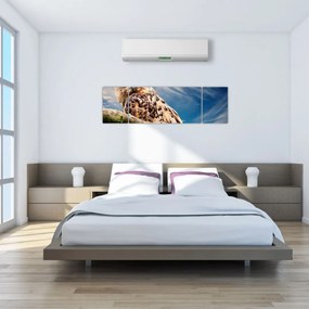 Obraz sowy (170x50 cm)