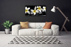 Obraz Canvas Piękny Kwiat Plumeria