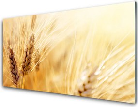 Panel Szklany Złociste Łany Pszenicy