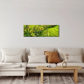 Obraz - Pola ryżowe (z zegarem) (90x30 cm)