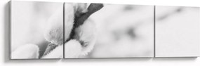 Obraz - Początek wiosny (170x50 cm)