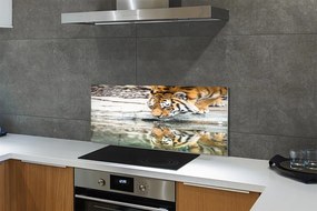 Szklany Panel Tygrys Pijący ze Strumienia