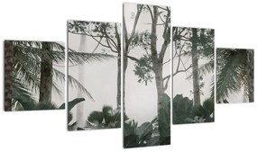 Obraz - dżungla w porannej mgle (125x70 cm)