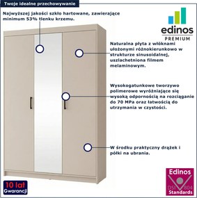 Kaszmirowa trzydrzwiowa szafa z lustrem na ubrania L0-T10