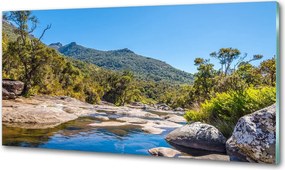 Panel do kuchni Rzeka w lesie